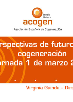 Documento de Cogeneracion