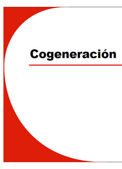 Documento de Cogeneración