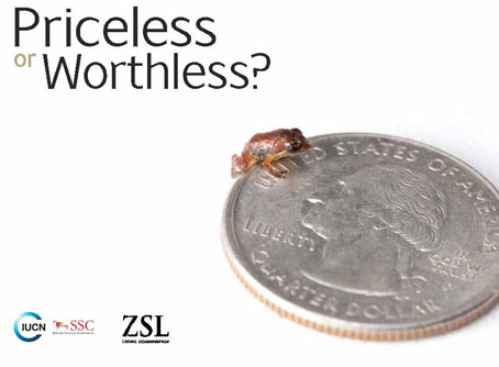 Documento de Informe Priceless or Worthless